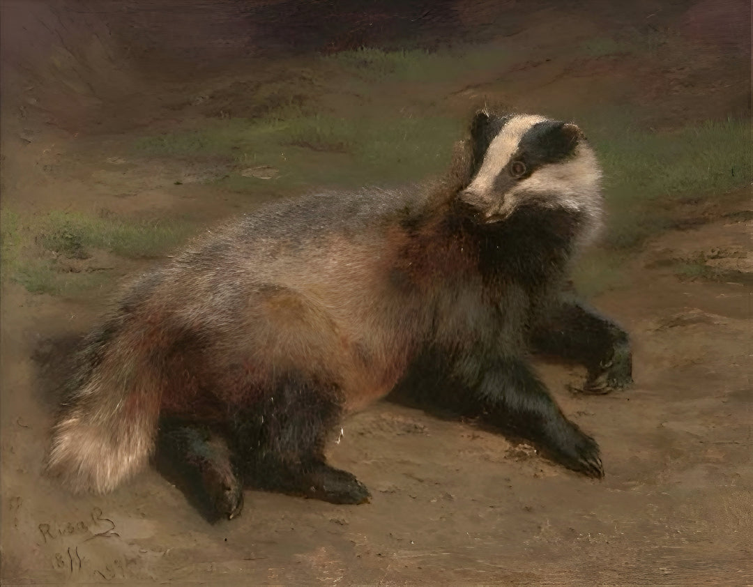 Ein ruhender Dachs – Rosa Bonheur