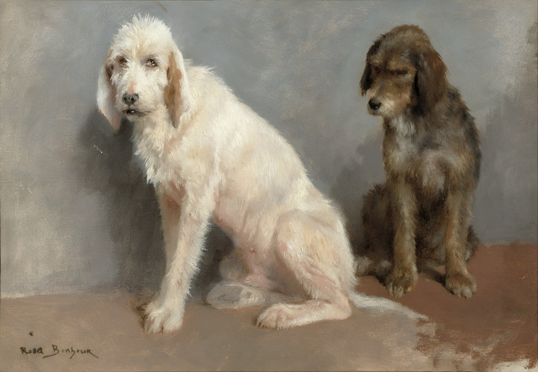 Studie von zwei Hunden – Rosa Bonheur