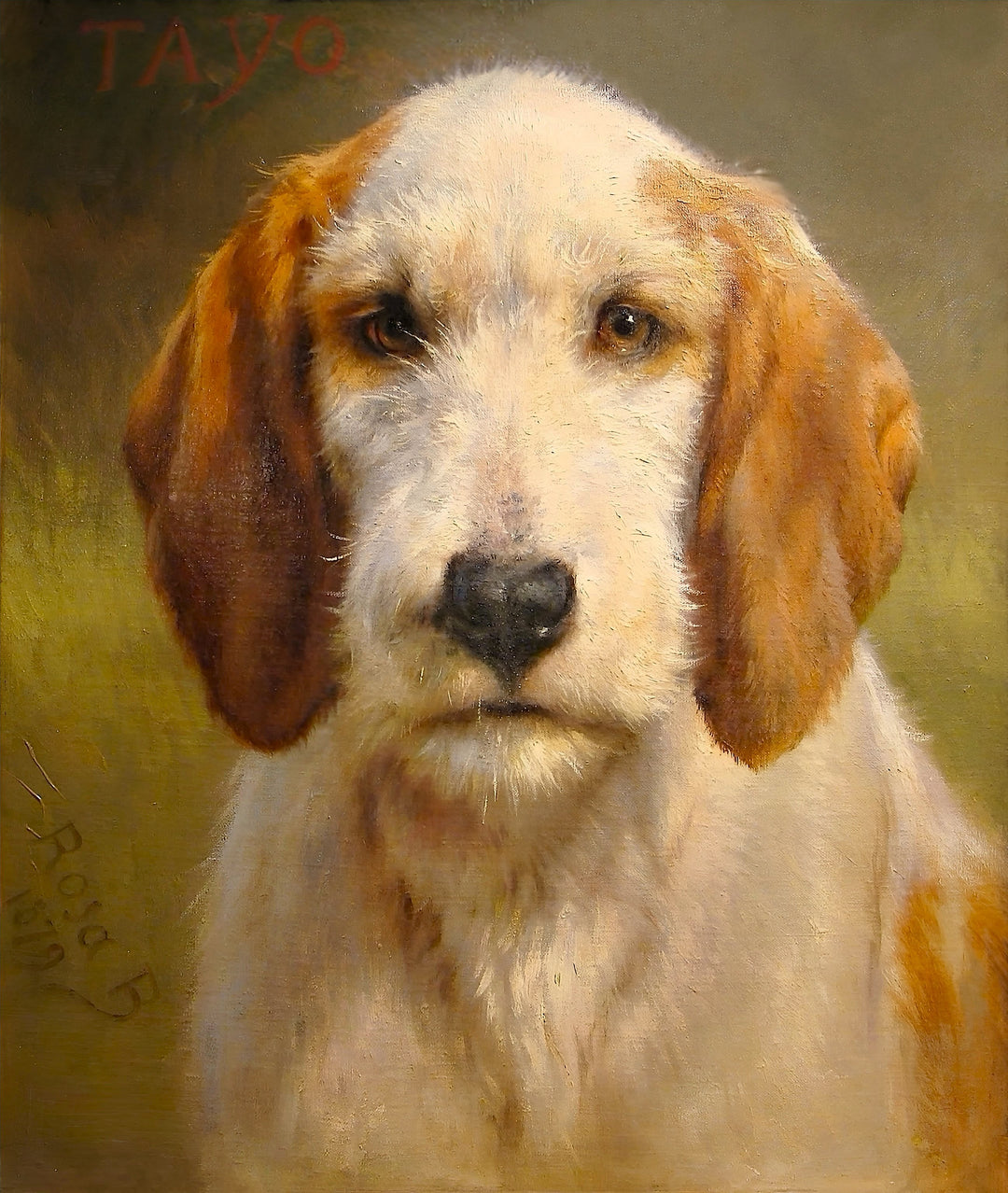 Tayo – Rosa Bonheur