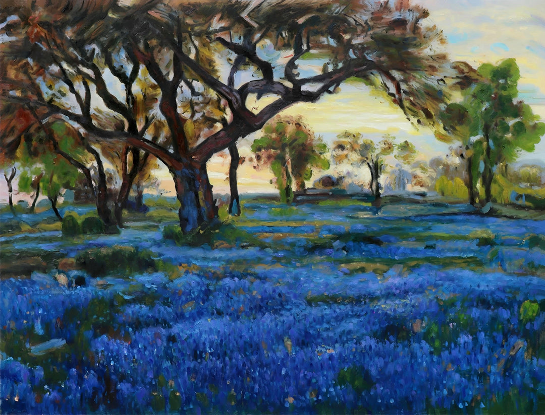 Alte Eiche und Bluebonnets auf dem Militärgelände im Westen von Texas, San Antonio - Onderdonk