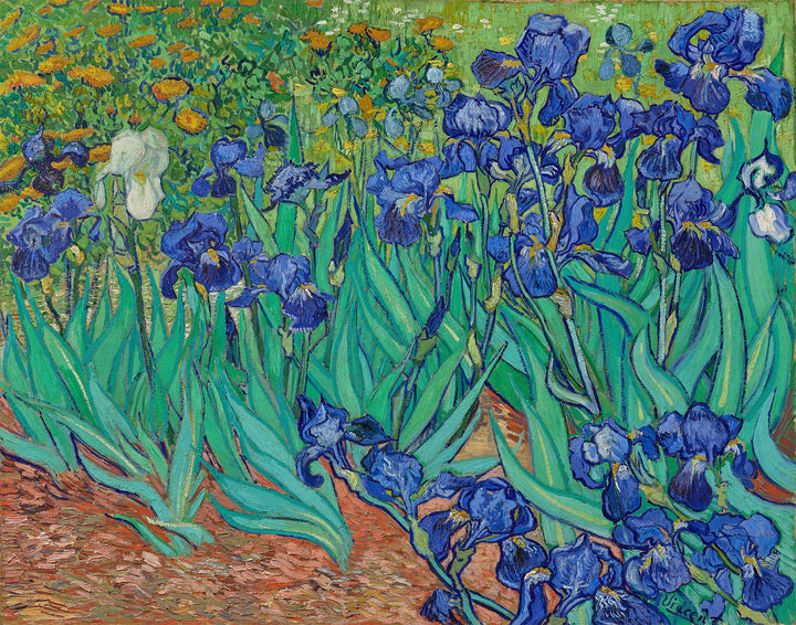 Iris - Van Gogh